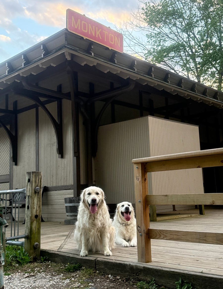 Sawyer and Theo on the platform at Monkton station